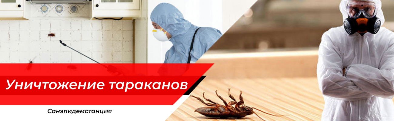 Уничтожение тараканов Мещерское